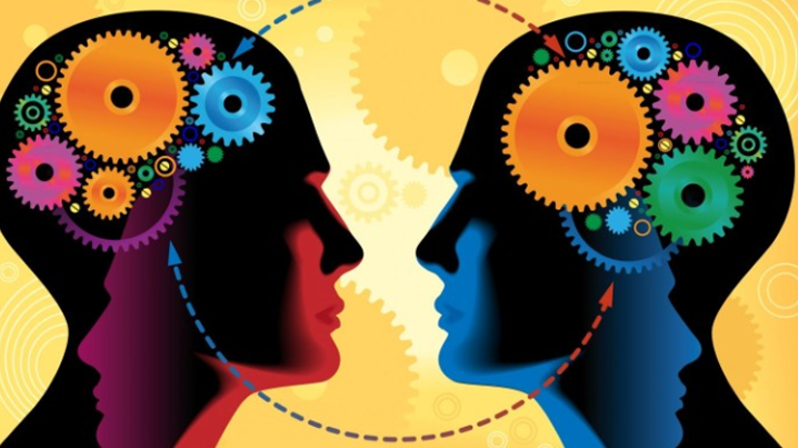 The Importance of Mirror Neurons in High-Performance Work in Meetings and the Workplace