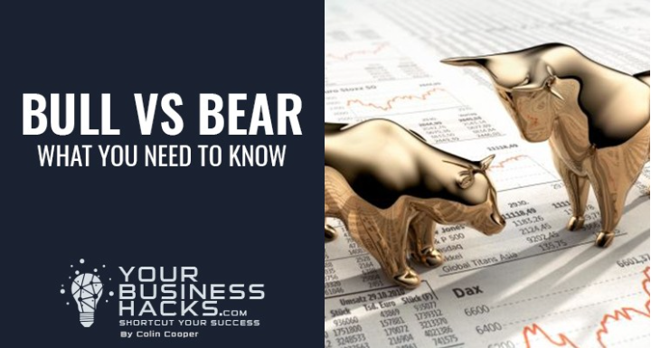 Bull vs Bear – What you need to know