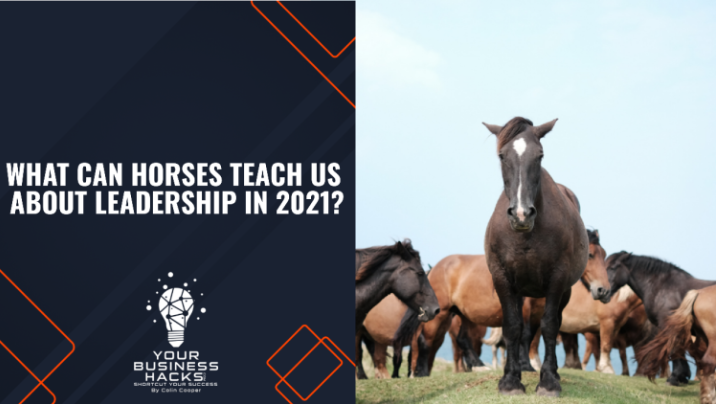 What can horses teach us about leadership in 2021?